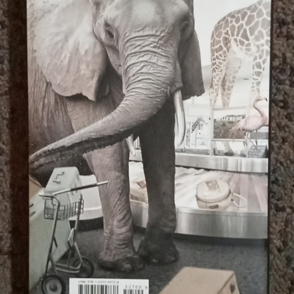 Chelsea Handler Biography - Picture 5 of 6
